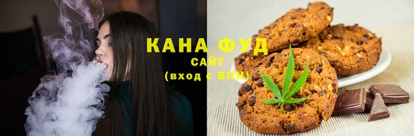 гидропоника Дмитриев