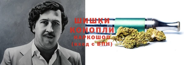 гидропоника Дмитриев