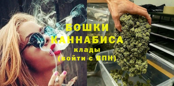 гидропоника Дмитриев