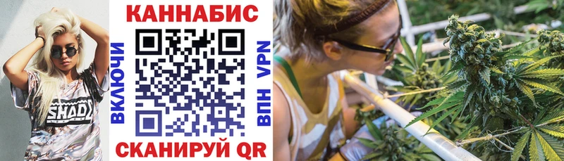 цена   Олонец  блэк спрут маркетплейс  Каннабис конопля 